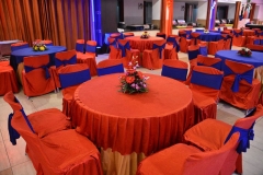 Themed Kids Party Decoration & Setup